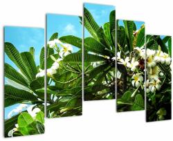 Mivali Tablou - Plumeria, din cinci bucăți 125x90 cm (V021519V12590)