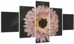 Mivali Tablou cu floare portocalie, din cinci bucăți 125x70 cm (V020428V12570)