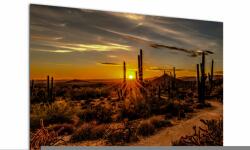 Mivali Tablou - Sfărșit de zi în deșertul Arizona, dintr-o bucată 100x70 cm (V021638V10070)