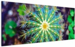 Mivali Tablou cu cactus, dintr-o bucată 120x50 cm (V020556V12050)