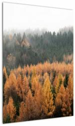 Mivali Tablou - Pădure toamna, dintr-o bucată 50x70 cm (V022938V5070)