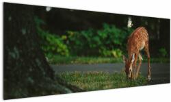 Mivali Tablou cu pui de cerb, dintr-o bucată 145x58 cm (V020197V14558)