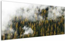 Mivali Tablou - Pădure în nori, dintr-o bucată 120x50 cm (V022666V12050)