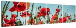Mivali Tablou - Pe câmpul cu maci, din patru bucăți 160x40 cm (V021727V16040)