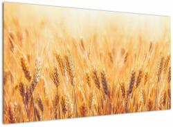 Mivali Tablou - câmp cu grâne, dintr-o bucată 120x70 cm (V022021V12070)