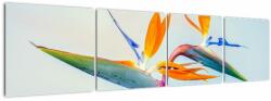 Mivali Tablou cu floarea Strelicie, din patru bucăți 160x40 cm (V021628V16040)