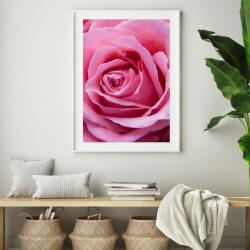 Mivali Poster - Trandafir roz, mărimea 30x30 cm (S040005S3030)