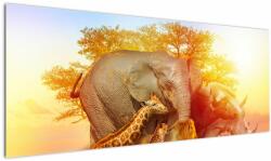 Mivali Tablou - Animale africane, dintr-o bucată 145x58 cm (V023027V14558)