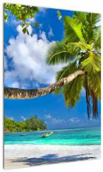 Mivali Tablou - Seychelles, dintr-o bucată 50x70 cm (V023298V5070)