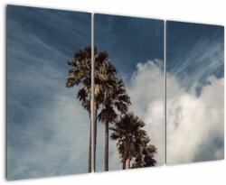Mivali Tablou - Drama cu palmieri, din trei bucăți 120x80 cm (V021676V120803PCS)