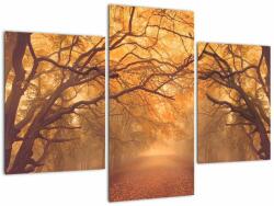 Mivali Tablou - Peisaj de toamnă cu drum, din trei bucăți 90x60 cm (V022751V90603PCS)