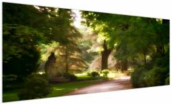 Mivali Tablou cu parc, dintr-o bucată 250x125 cm (V020213V250125)