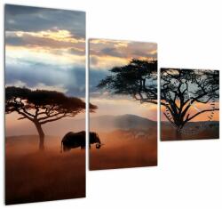 Mivali Tablou - Parcul Național Serengeti, Tanzania, Africa (cu ceas), din trei bucăți 90x70 cm cu ceas (V023034V9070C)