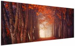 Mivali Tablou - Pădurea de toamnă, dintr-o bucată 250x125 cm (V021985V250125)