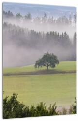 Mivali Tablou - Lunca cu copac, dintr-o bucată 30x40 cm (V022721V3040)