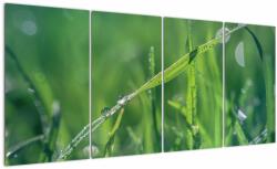 Mivali Tablou cu picături de rouă, din patru bucăți 160x80 cm (V020008V16080)