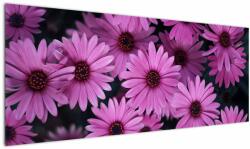 Mivali Tablou cu florile roz, dintr-o bucată 145x58 cm (V020923V14558)