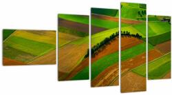 Mivali Tablou - Lan, luncile, din cinci bucăți 110x60 cm (V021310V11060)