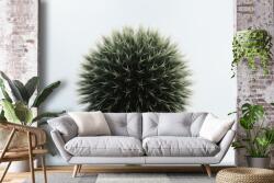Mivali Fototapet - Flori tropicale, vlies, 490x340 cm (T100059TQ10)