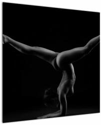 Mivali Tablou - Gimnasta nud în întuneric, dintr-o bucată 70x70 cm (V023080V7070)