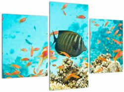 Mivali Tablou lumii submarine, din trei bucăți 90x60 cm (V022109V90603PCS)