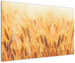 Mivali Tablou - câmp cu grâne, dintr-o bucată 120x80 cm (V022021V12080)