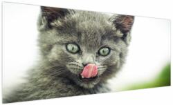 Mivali Tablou cu pisicuța lingându-se, dintr-o bucată 250x125 cm (V020978V250125)
