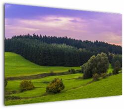 Mivali Tablou cu lunca, dintr-o bucată 100x70 cm (V020343V10070)