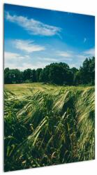 Mivali Tablou cu linca și pădure, dintr-o bucată 60x90 cm (V021343V6090)