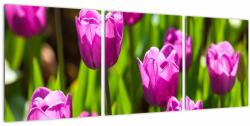 Mivali Tablou cu lale pe luncă, din trei bucăți 90x30 cm (V020893V9030)
