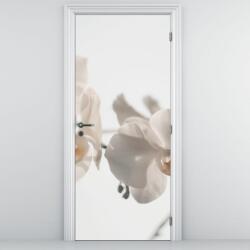 Mivali Fototapet pentru ușă - Orhideia albă (D021557D95205)
