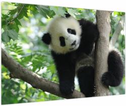 Mivali Tablou - Panda in copac, dintr-o bucată 90x60 cm (V023757V9060)