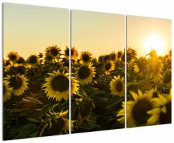 Mivali Tablou cu lan de floarea soarelui, din trei bucăți 120x80 cm (V020915V120803PCS)