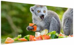 Mivali Tablou cu lemur, dintr-o bucată 250x125 cm (V021127V250125)