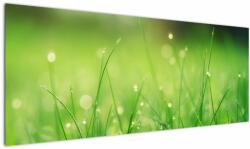 Mivali Tablou - roua pe iarbă, dintr-o bucată 145x58 cm (V020169V14558)