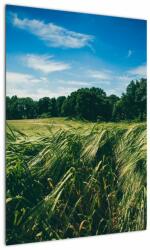 Mivali Tablou cu linca și pădure, dintr-o bucată 50x70 cm (V021343V5070)