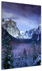 Mivali Tablou - Yosemite, USA, dintr-o bucată 50x70 cm (V021518V5070)