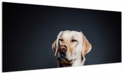 Mivali Tablou cu labrador, dintr-o bucată 100x40 cm (V021153V10040)