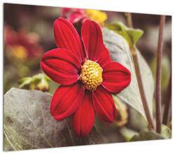 Mivali Tablou pe sticlă cu floare, dintr-o bucată 70x50 cm pe sticlă (V020279V7050GD)