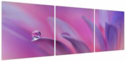 Mivali Tablou - Picătură pe floare, din trei bucăți 150x50 cm (V024022V15050)