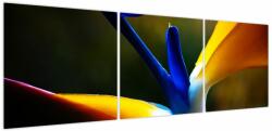 Mivali Tablou - Floare exotică, din trei bucăți 150x50 cm (V023749V15050)