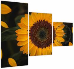 Mivali Tablou - Floarea soarelui și petale (cu ceas), din trei bucăți 90x70 cm cu ceas (V021736V9070C)