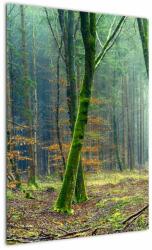 Mivali Tablou cu pădure, dintr-o bucată 50x70 cm (V020904V5070)