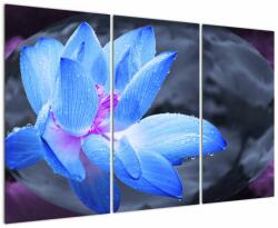 Mivali Tablou florilor în detailu, din trei bucăți 120x80 cm (V021974V120803PCS)