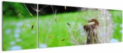 Mivali Tablou cu păpădie, din trei bucăți 170x50 cm (V021361V17050)