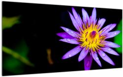 Mivali Tablou pe sticlă cu floare, dintr-o bucată 100x50 cm pe sticlă (V021017V10050GD)
