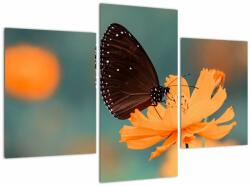 Mivali Tablou - fluture pe o floare portocalie, din trei bucăți 90x60 cm (V020577V90603PCS)