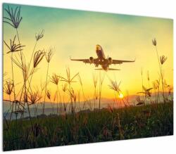 Mivali Tablou cu avion zburând, dintr-o bucată 100x70 cm (V020504V10070)