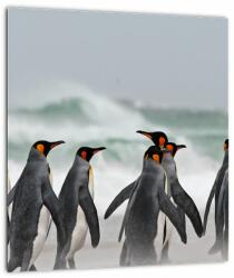 Mivali Tablou pe sticlă pinguini în ocean, dintr-o bucată 30x30 cm pe sticlă (V021358V3030GD)