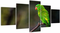 Mivali Tablou cu papagal pe greangă, din cinci bucăți 150x80 cm (V020833V150805PCS)